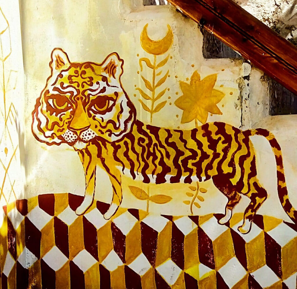 illustration
