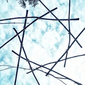 Dôme couronne frêne