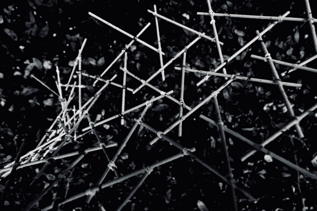 saut du faune plongée