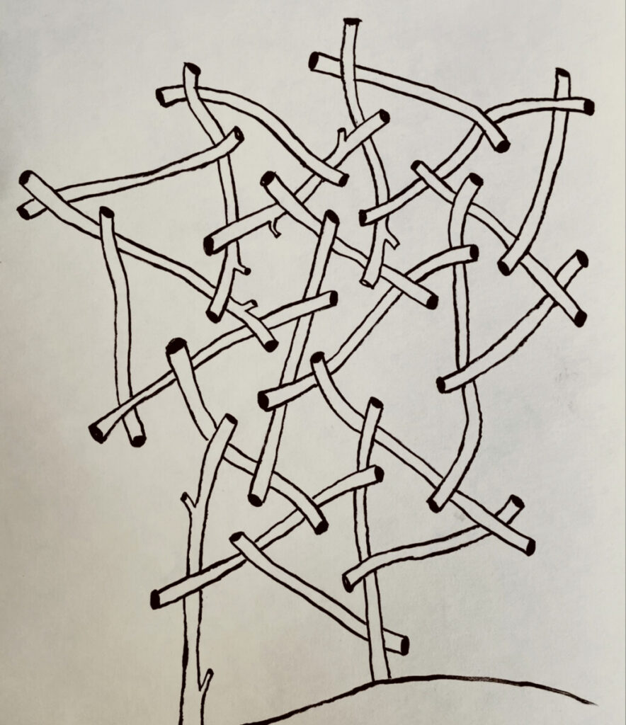 66cf9c82 203f 4438 ab97 da12671aaa79